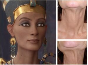Nefertiti-lift-tunisie